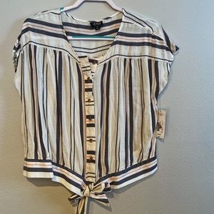 Stripped Blouse